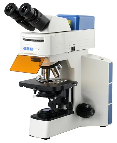 BS-2064FB(LED) LED Fluorescent Binocular Biological Microscope